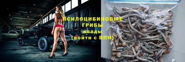 сатива Нефтегорск