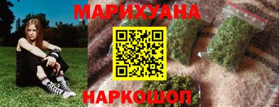 крисы Волгодонск