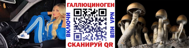 где найти наркотики  Димитровград  Псилоцибиновые грибы мицелий 
