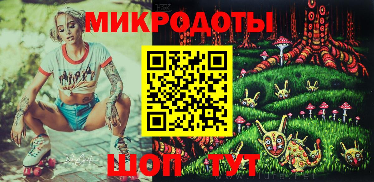 Псилоцибиновые грибы Psilocybe Димитровград